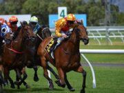 FedEx update: Horschel No. 2; Hoffmann, Palmer advance