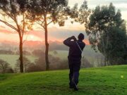 Sport picture of the day: the flying horse